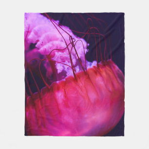 Cobertor De Velo Bonito paisagem