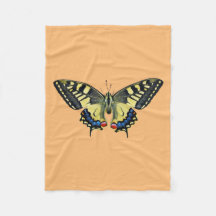 Borboleta amarela e preta