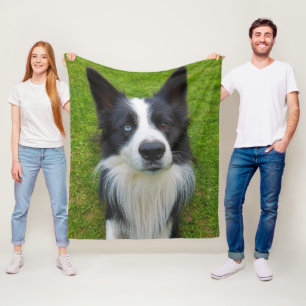 Cobertor De Velo Border Collie