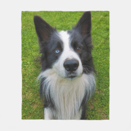 Cobertor De Velo Border Collie