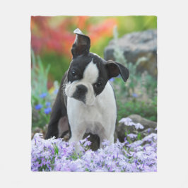 Cobertor De Velo Boston Terrier Dog Aconchegante