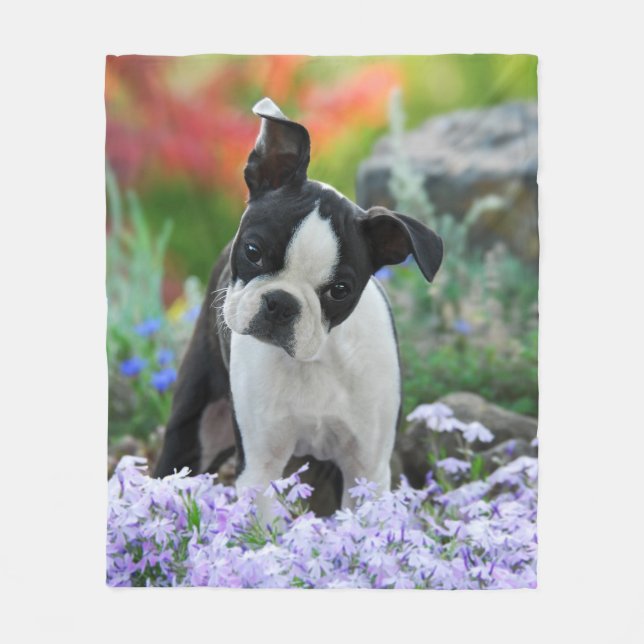 Cobertor De Velo Boston Terrier Dog Aconchegante (Frente)