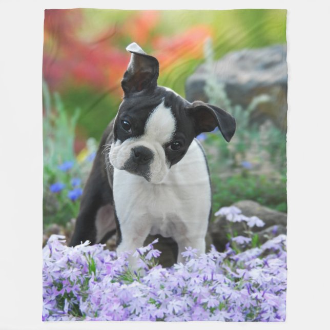 Cobertor De Velo Boston Terrier Dog Cute Puppy Animal Head Photo - (Frente)