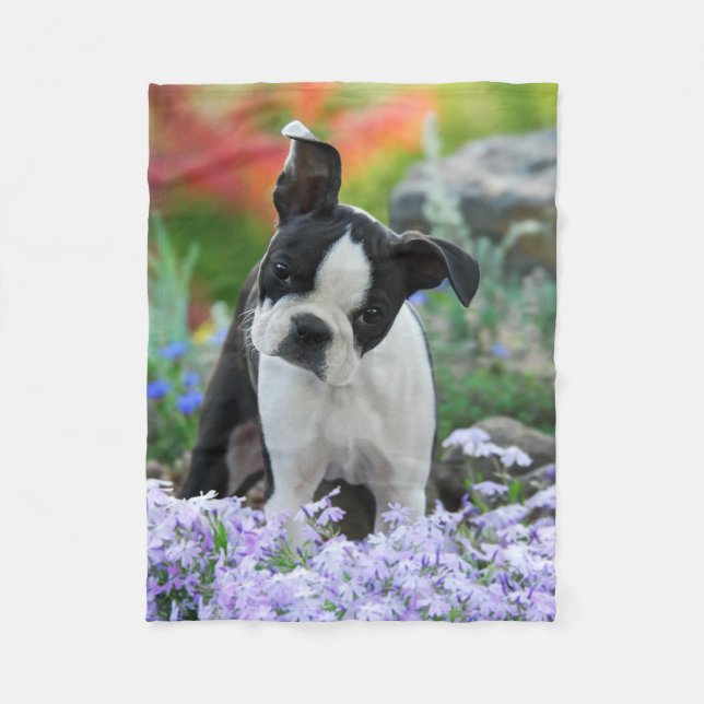 Cobertor De Velo Boston Terrier Dog Puppy comfy (Frente)