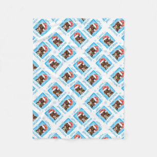 Cobertor De Velo Boykin Spaniel de Natal