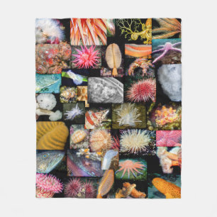 Cobertor De Velo British Columbia Marine Life Collage Blanket