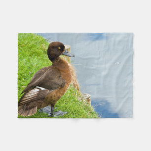 Cobertor De Velo Brown avermelhado fêmea adornou o pato de mergulh