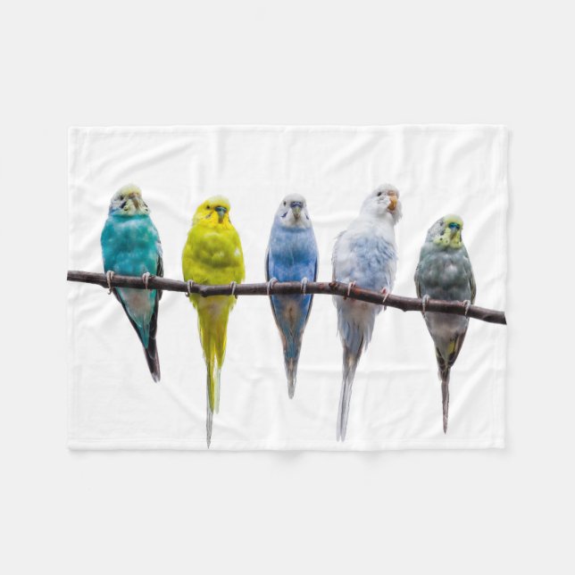 Cobertor De Velo Budgies (Frente (Horizontal))