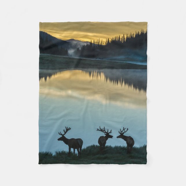 Cobertor De Velo Bull Elks Silhouetet Poudre Lake Sunrise (Frente)