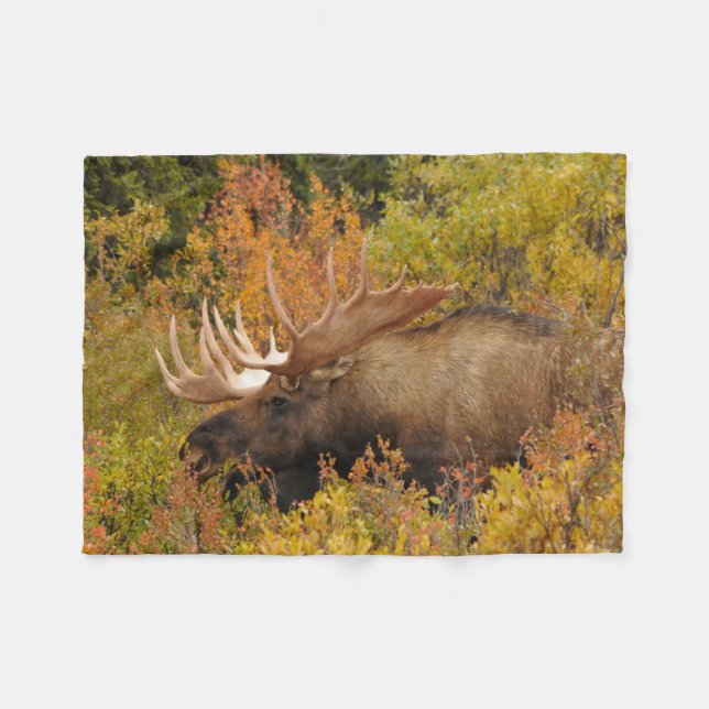 Cobertor De Velo Bull Moose | Parque Nacional Denali, Alasca (Frente (Horizontal))