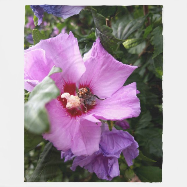 Cobertor De Velo Bumblebee na Flor de Hibiscus (Frente)