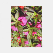 Busy Lizzie Rosa e Verde