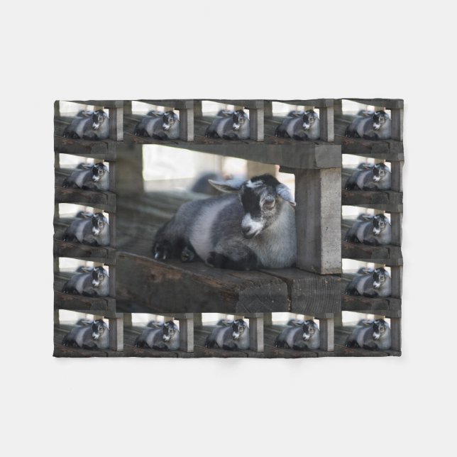 Cobertor De Velo Cabra (Frente (Horizontal))