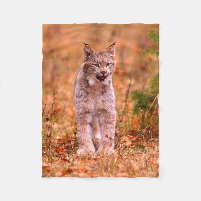 Cobertor De Velo Caça de Lince | Floresta de Outono (Frente)