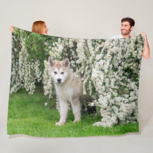 Cobertor De Velo Cachorro Malamute em Flores Foto