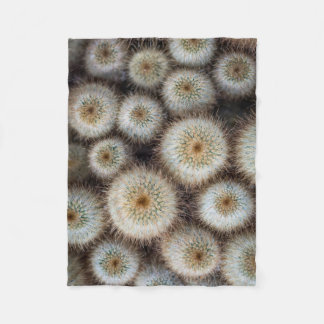 Cobertor De Velo Cactus Prickly