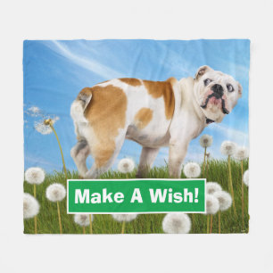 Cobertor De Velo Cães com Dandelion