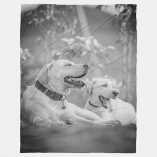 COBERTOR DE VELO CÃES DE LABRADOR QUE SE REVELEM