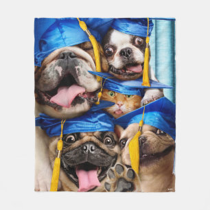 Cobertor De Velo Cães e Gatos Graduados em Cabine de Fotos