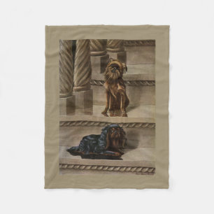 Cobertor De Velo Cães Vintage Sentados em Escada Livre