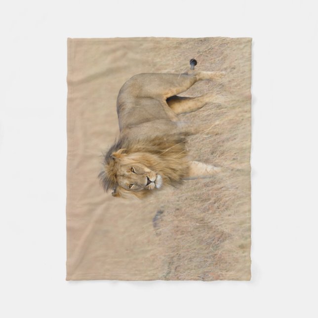 Cobertor De Velo Caminho de leão (Frente)