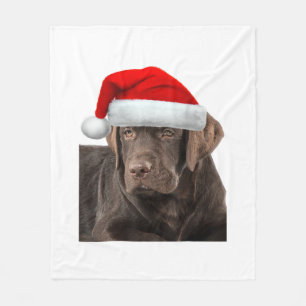 Cobertor De Velo Camisa de chocolate Labrador Cachorro de varejo