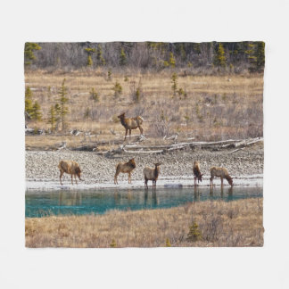 Cobertor De Velo Canadian Rockies Wapiti (Elk)