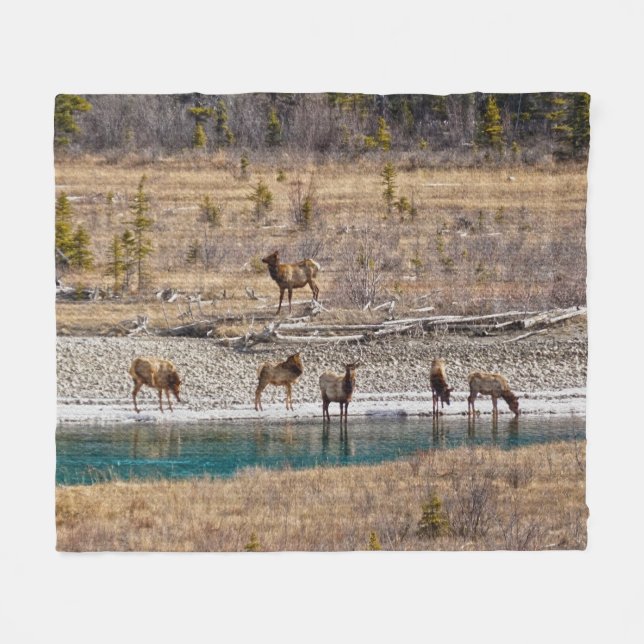 Cobertor De Velo Canadian Rockies Wapiti (Elk) (Frente (Horizontal))