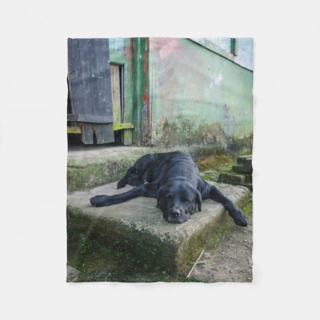 Cobertor De Velo Cão sonolento (Frente)