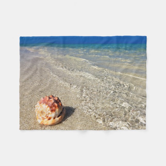 Cobertor De Velo Capacete Shell em Lagoon| tropical Cassis Rufa (Frente (Horizontal))