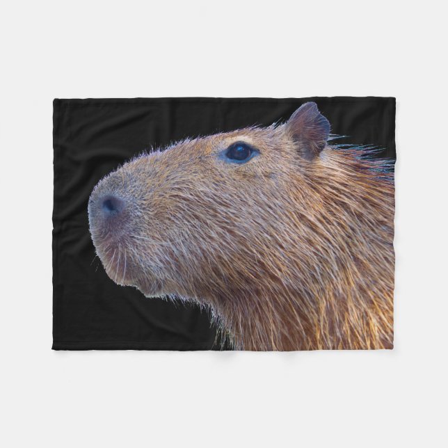 Cobertor De Velo Capybara (Frente (Horizontal))