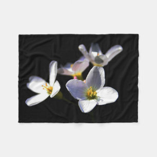 Cobertor De Velo Cardamine Pratensis Flowers Fbcn