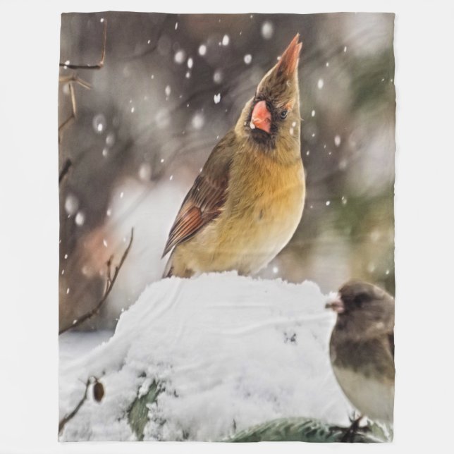 Cobertor De Velo Cardeal E Sparrow Na Neve (Frente)