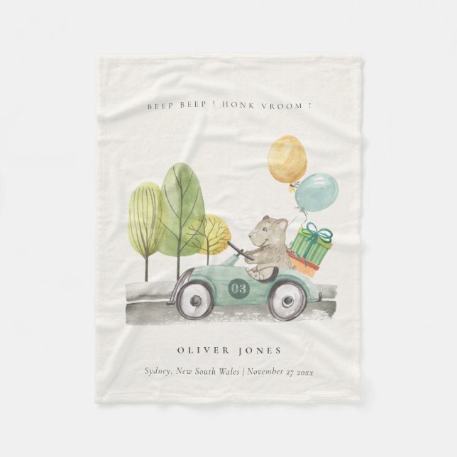 Cobertor De Velo Carro do Partido do Ursinho Verde de Aqua Bonito (Frente)