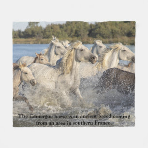 Cobertor De Velo Cavalo Camargue Raça Antiga Da França Equestre