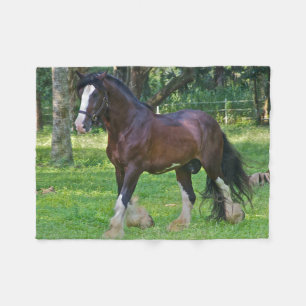 Cobertor De Velo Cavalo Clydesdale