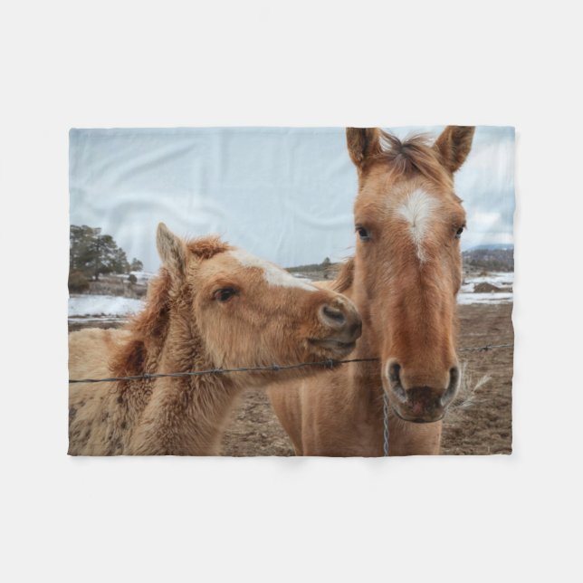 Cobertor De Velo Cavalo-Mãe e Galo (Frente (Horizontal))