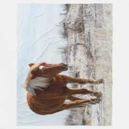 Cobertor De Velo Cavalo selvagem em dunas