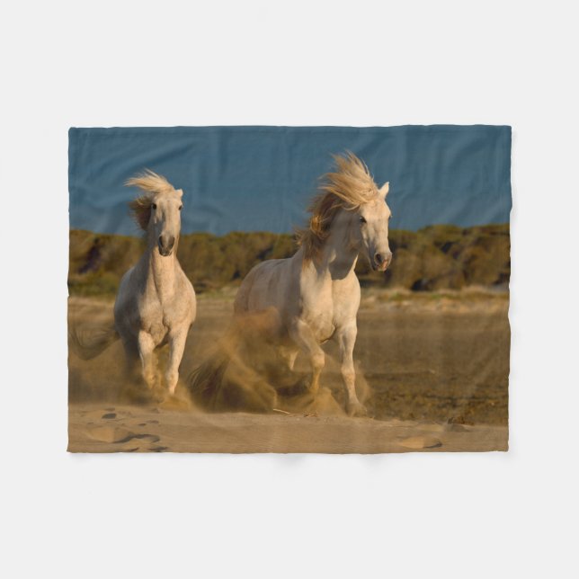 Cobertor De Velo Cavalos brancos que funcionam na praia | Camargue, (Frente (Horizontal))