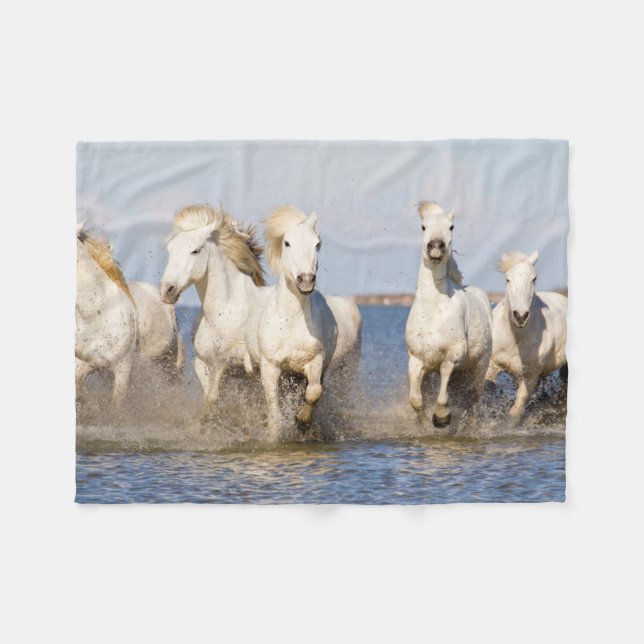 Cobertor De Velo Cavalos Camargue (Frente (Horizontal))