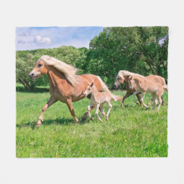 Cobertor De Velo Cavalos de Haflinger com Raios Bonitos Rodam Fotos