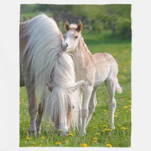 Cobertor De Velo Cavalos De Haflinger Fedem De Bebê Com Foto De Mãe