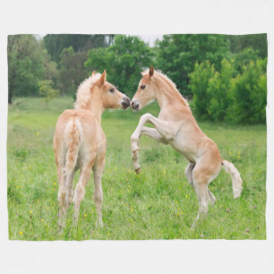Cobertor De Velo Cavalos de Haflinger Raios Bonitos Rindo, Aconcheg