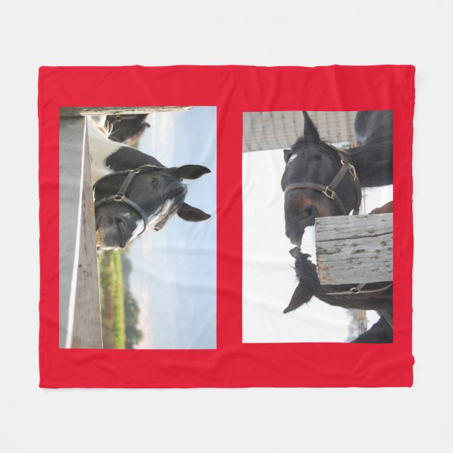 Cobertor De Velo Cavalos mastigando uma cerca (Frente (Horizontal))