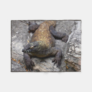 Cobertor De Velo Cena do Dragão de Komodo em Rocha Quente