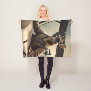 Cobertor De Velo "Céus Vintage: O Piloto de Canguru no Avião Velho