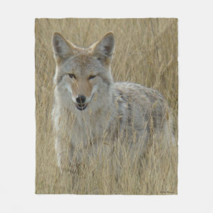 Cobertor De Velo Chacal R2 na grama alta