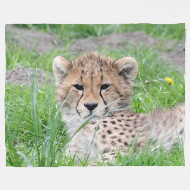 Cobertor De Velo Cheetah20150904 (Frente (Horizontal))