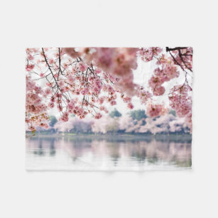 Cobertor De Velo Cherry Blossoms