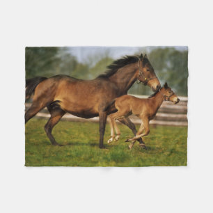 Cobertor De Velo Chestnut Mare & Foal puro